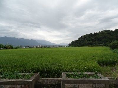 DSC00536.jpg