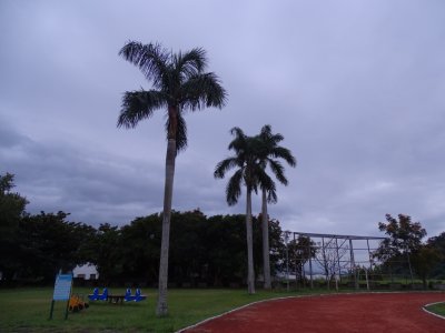 DSC00543.jpg