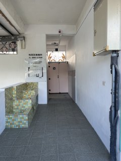 IMG_8572.JPG