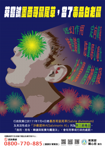 view 莫嘗試墨西哥鼠尾草