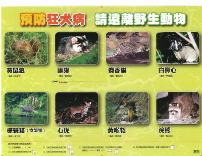 防範狂犬病請遠離野生動物(防檢署)-images-0.jpg