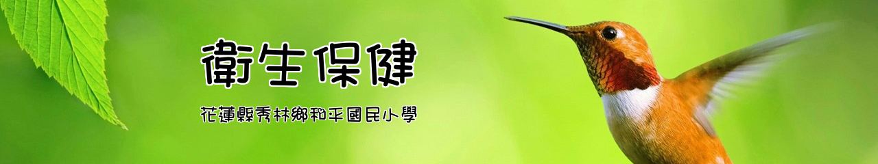 Web Title:花蓮縣秀林鄉和平國民小學
