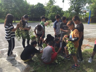 IMG_1437.jpg