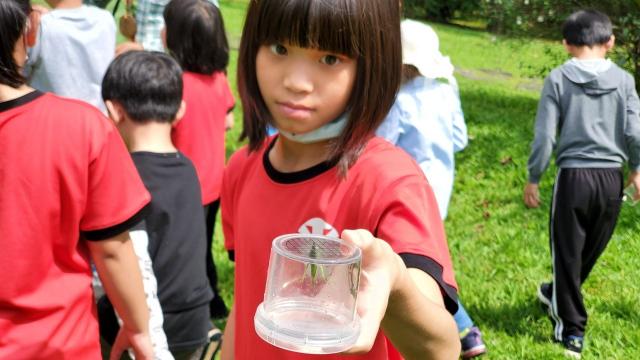 https://xc.hlc.edu.tw/~phps_www/uploads/tadgallery/2021_04_13/958_昆蟲特攻隊_210413_21.jpg 