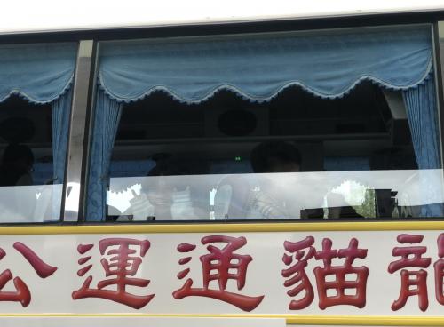 IMG_7735.JPEG