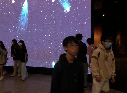 IMG_7743.JPEG
