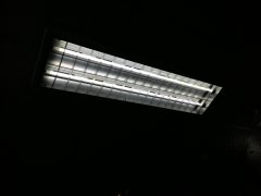 P_20170605_085619.jpg