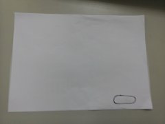 P_20170601_091721.jpg