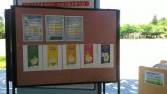 P_20170613_092550.jpg