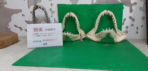 12.09校外教學－成功故事館_210413_17.jpg