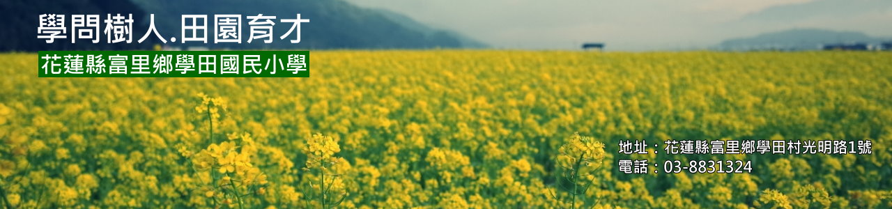 美麗的學田油菜花海