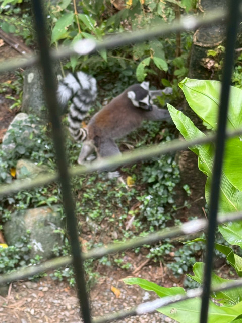LINE_ALBUM_1141030靜心高中_251103_55.jpg
