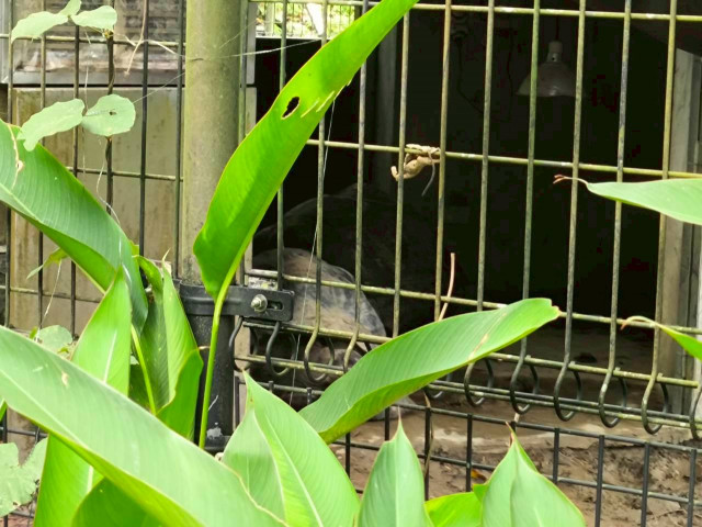 LINE_ALBUM_2025922木柵動物園_251119_53.jpg
