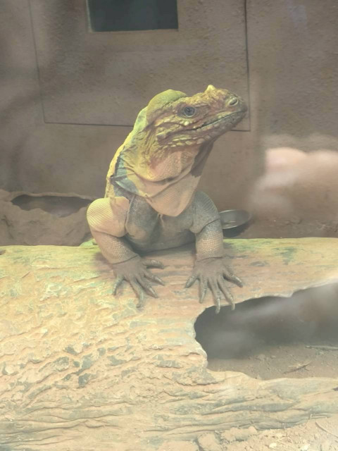 LINE_ALBUM_2025922木柵動物園_251119_55.jpg