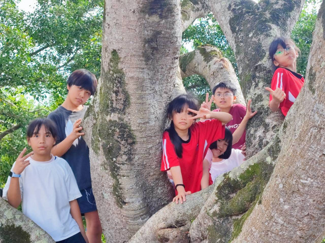 photo sn 6255