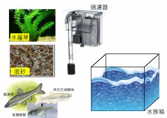 養魚器材.jpg