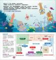 海影1