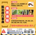 20190613015550-秋行軍蟲-2