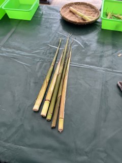 05.jpg