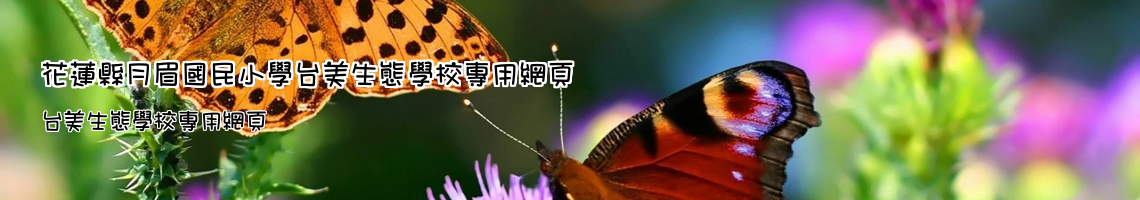 Web Title:台美生態學校專用網頁